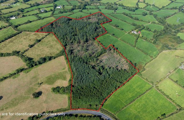 Corracarrow, Ballyjamesduff, Co. Cavan, Ballyjamesduff, Co. Cavan - Click to view photos