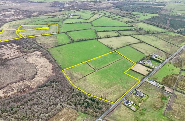 33.5 Acres (approx.) To Lease/to Let At Corbo, Kilrooskey, Co. Roscommon, Kilrooskey, Co. Roscommon - Click to view photos