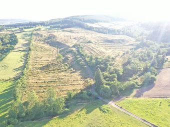 Saddle Hill, Blessington, Thomastown, Co. Kilkenny - Image 4