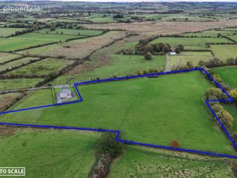 C. 9.75 Acres, Kilnagralta, Mount Talbot, Co. Roscommon, Mount Talbot, Co. Roscommon - Image 3