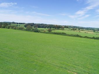 Rathroe, Killenaule, Thurles, Co. Tipperary - Image 3