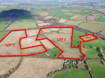 Garraun Upper (c. 87 Acres), Rathnure, Enniscorthy, Co. Wexford, Enniscorthy, Co. Wexford - Image 5