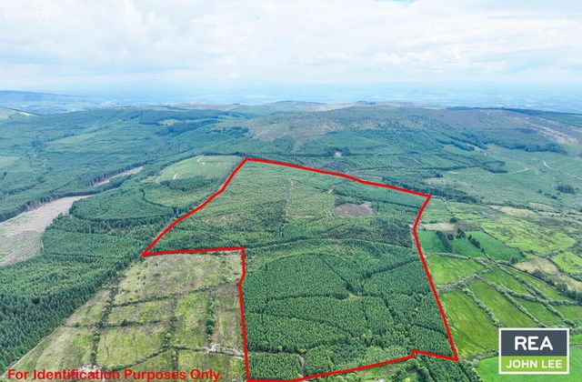 Glenoe, Newport, Co. Tipperary, Newport, Co. Tipperary - Click to view photos