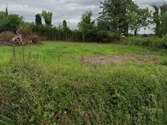 Drumard, Maggeraun, Dromod, Co. Leitrim, Dromod, Co. Leitrim - Image 4