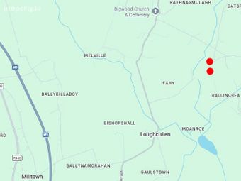 Ballincrea, Slieverue, Co. Kilkenny - Image 4