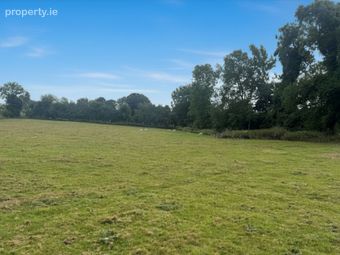 Land C. 57 Acres / 23.1 Hectares, Newtown Great, Ballymore Eustace, Naas, Co. Kildare - Image 3