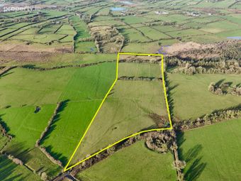 15.93 Acres (approx.) At Cloonrane, Strokestown, Co. Roscommon, Strokestown, Co. Roscommon - Image 3