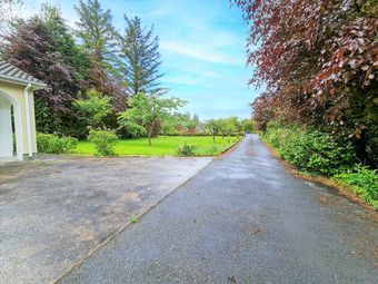 Russ Lara, Cloonkeen, Castlebar, Co. Mayo, Cloonkeen, Co. Mayo - Image 3