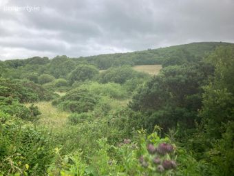 6.94 Acres At Ballysallagh, Hacketstown, Co. Carlow, Hacketstown, Co. Carlow - Image 4