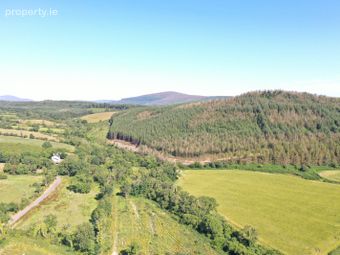 Saddle Hill, Blessington, Thomastown, Co. Kilkenny - Image 3