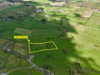 4.91 Acres (approx.) At Carton, Elphin, Co. Roscommon, Elphin, Co. Roscommon - Image 2