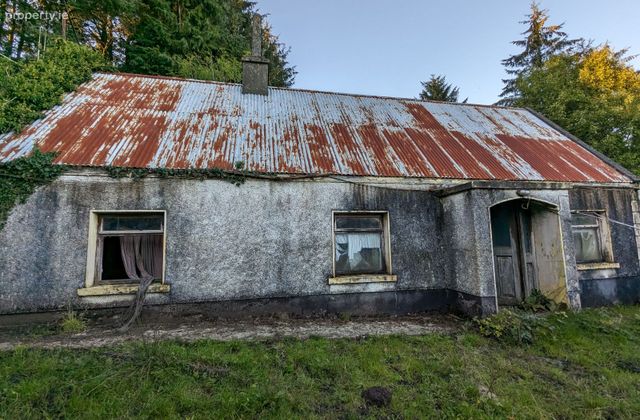 Dernaheltymore Aughnasheelan Ballinamore Co Leitrim, Aughnasheelan, Co. Leitrim - Click to view photos