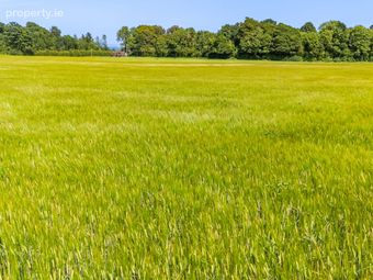 Lot 1 - South Land At Lisnavagh, Lisnavagh, Co Carlow, R93 K162, Rathvilly, Co. Carlow - Image 5