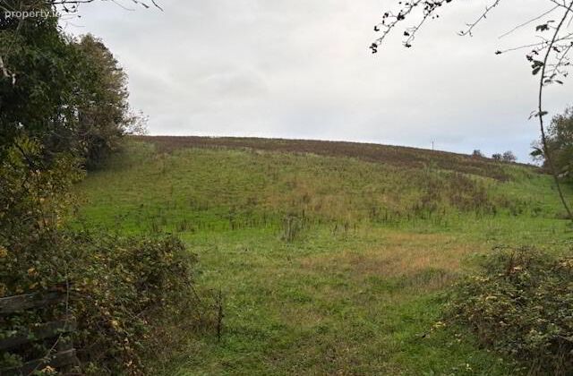 Drumcoo, Tydavnet, Co. Monaghan, Tydavnet, Co. Monaghan - Click to view photos