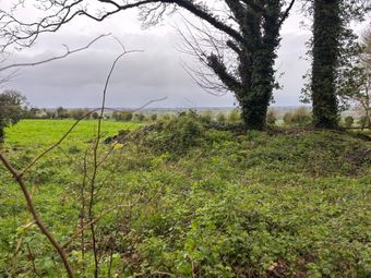 Derry, Banteer, Banteer, Co. Cork - Image 5