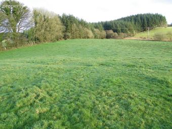 Tully, Loughglynn, Castlerea, Co. Roscommon - Image 3