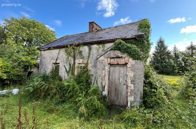 Flower Hill, Whitegate, Co. Clare - Click to view photos