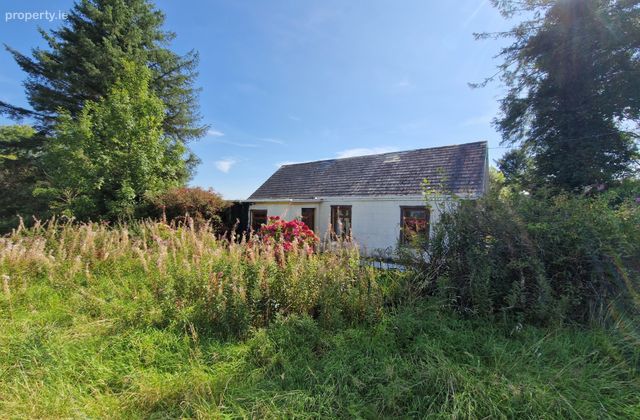 Carrowmore, Killasser, Swinford, Co Mayo, Killasser, Co. Mayo - Click to view photos