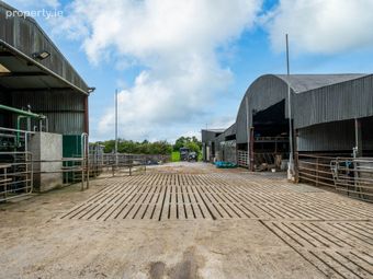 Cappanrush, Kilbeggan, Co. Westmeath, Kilbeggan, Co. Westmeath - Image 4