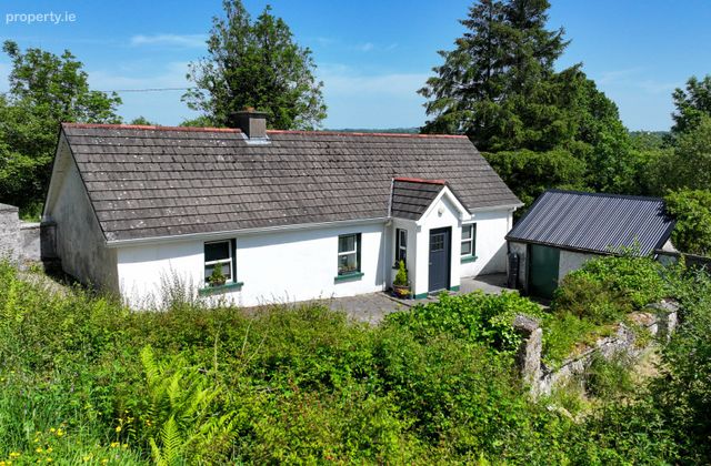 Drumshanbo South, Mohill, Gortletteragh, Co. Leitrim - Click to view photos