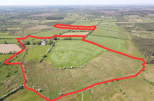 C.42 Acre Residential Farm At Termon Beg, Castlerea, Co. Roscommon - Click to view photos
