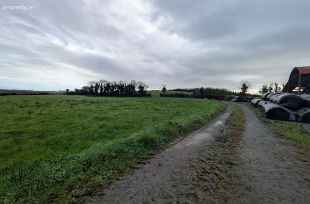 C.38 Acres At Derrybrick, Knockalough, Co. Clare - Click to view photos