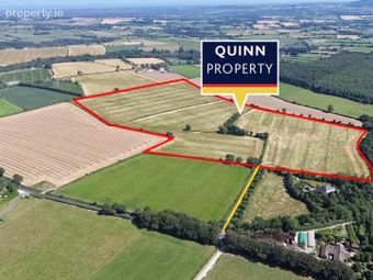 Carriglegan (c. 45.5 Acres), Enniscorthy, Co. Wexford, Camolin, Co. Wexford - Image 2