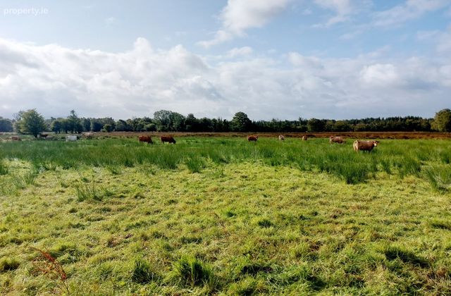 Ayle, Feakle, Co. Clare - Click to view photos