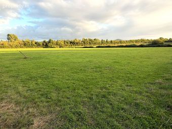 Cappakeel, Emo, Co. Laois - Image 2