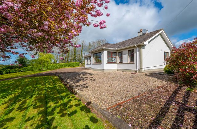 Woodville, Ballymackey, Toomevara, Co. Tipperary - Click to view photos