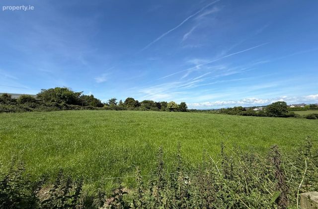 C. 2.91 Ha (c. 7.2 Acres) Of Agricultural Land @ Brittas, Grangebellew, Co. Louth, Grangebellew, Co. Louth - Click to view photos