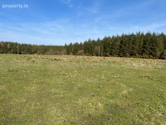 Ballydrimnagh, Streamstown, Tynagh, Co. Galway