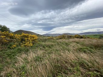 Mountain Stage, Drom West, Glenbeigh, Co. Kerry - Image 3