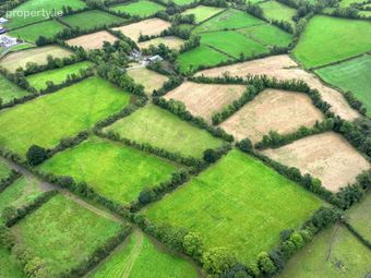 Dingins, Lough Gowna, Co. Cavan - Image 4