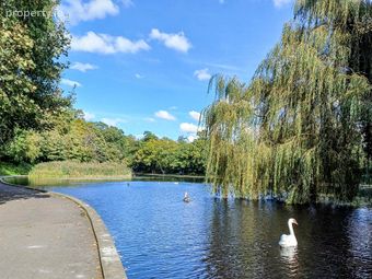 7 Butterfield Grove, Rathfarnham, Dublin 14, Co. Dublin, Rathfarnham, Dublin 14 - Image 5