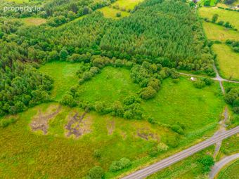 Land For Sale, Ardmore, Donamon, Co. Roscommon, Donamon, Co. Roscommon - Image 4