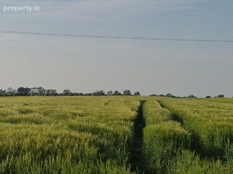 Garrymore, Ballymacward, Ballinasloe, Co. Galway, Gurteen, Co. Galway - Image 2