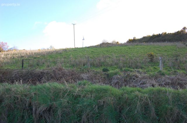 Killeedy South, Ballagh, Co. Limerick - Click to view photos