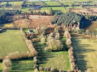 Currahard, Lisacul, Roscommon, Lisacul, Co. Roscommon - Image 3