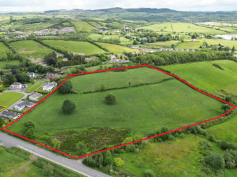 Virginia Road, Bailieborough, Co. Cavan