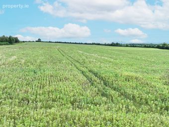 Baronstown West, Milltown, Milltown, Co. Kildare - Image 3