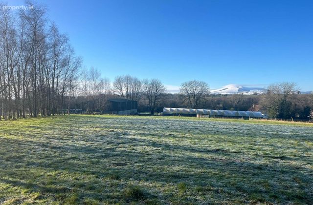 Tombrack (0.75 Acre Site), Ferns, Gorey, Co. Wexford, Strahart, Co. Wexford - Click to view photos