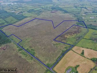 57.67 Acres, Cloonelt & Kilmore, Castlerea, Co. Roscommon, Loughglynn, Co. Roscommon
