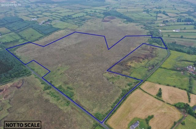 57.67 Acres, Cloonelt &amp; Kilmore, Castlerea, Co. Roscommon, Loughglynn, Co. Roscommon - Click to view photos