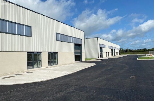 Monread Industrial Park, Monread Road, Naas, Co. Kildare - Click to view photos