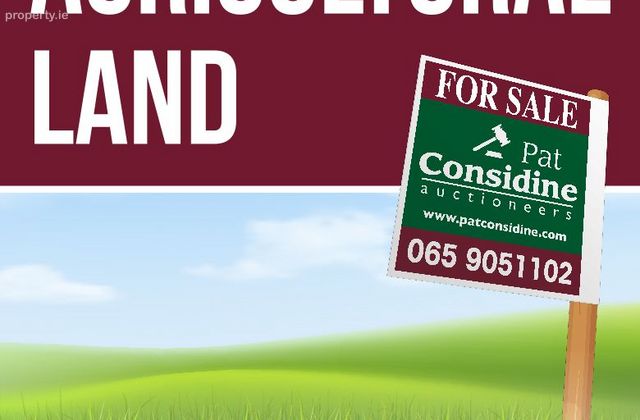Tullagower, Kilrush, Co. Clare - Click to view photos