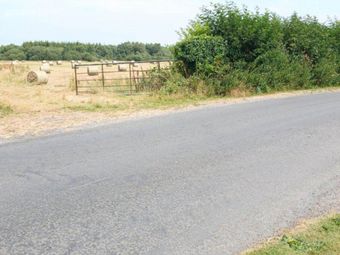81.6 Acres Feighcullen, Rathangan, Co. Kildare, Rathangan, Co. Kildare - Image 5