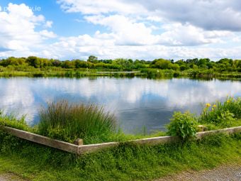 Ardaire Springs Angling Centre, Arderra, Mooncoin, Co. Kilkenny - Image 4