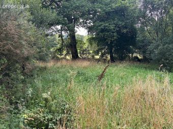 Site Spp At Annagh Middle, Gorey, County Wexford, Hollyfort, Co. Wexford - Image 4