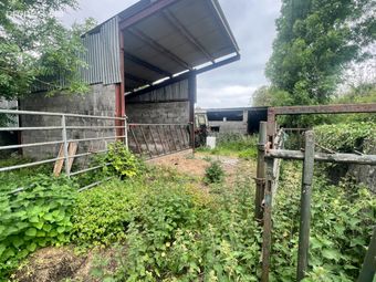 10 Acres, Rooaun, Creagh, Ballinasloe, Co. Galway - Image 3